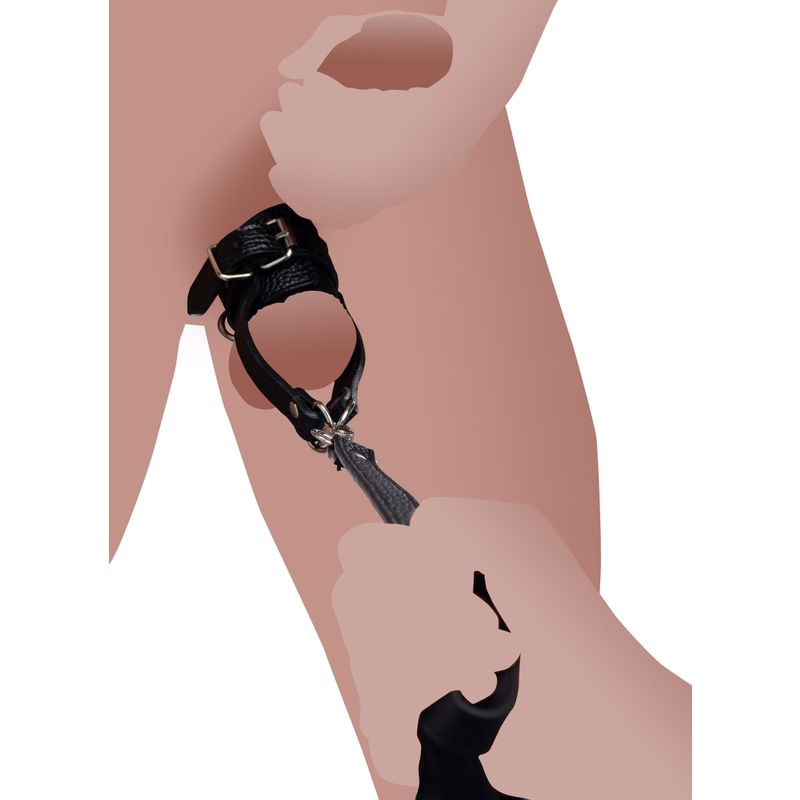 Strict Ball Stretcher With Leash-AF203