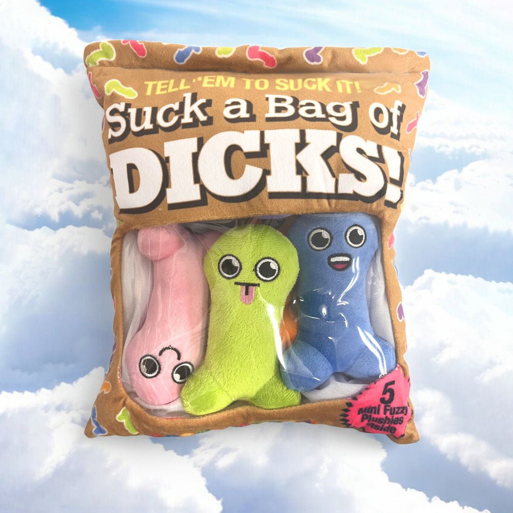 Suck a Bag of Dicks Plush Pillow - Hilarious Gift!