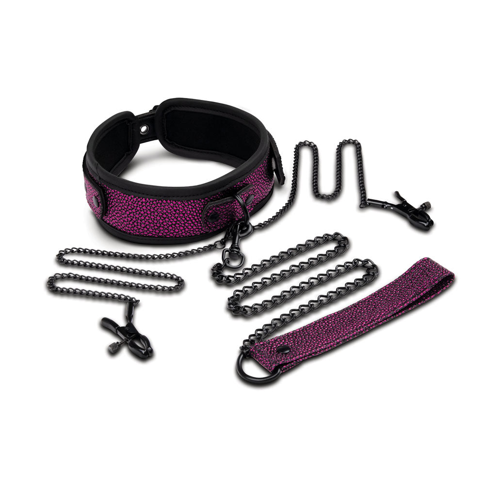 Leash & Nipple Clips Set - Purple/Black Restraints-WS1068