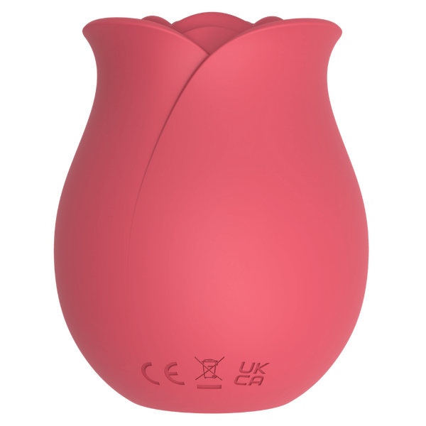 Rose (Pink)-CN-624304345