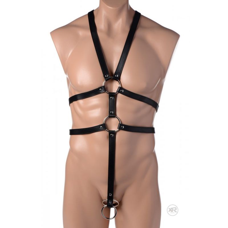 Male Full Body Harness-AF249