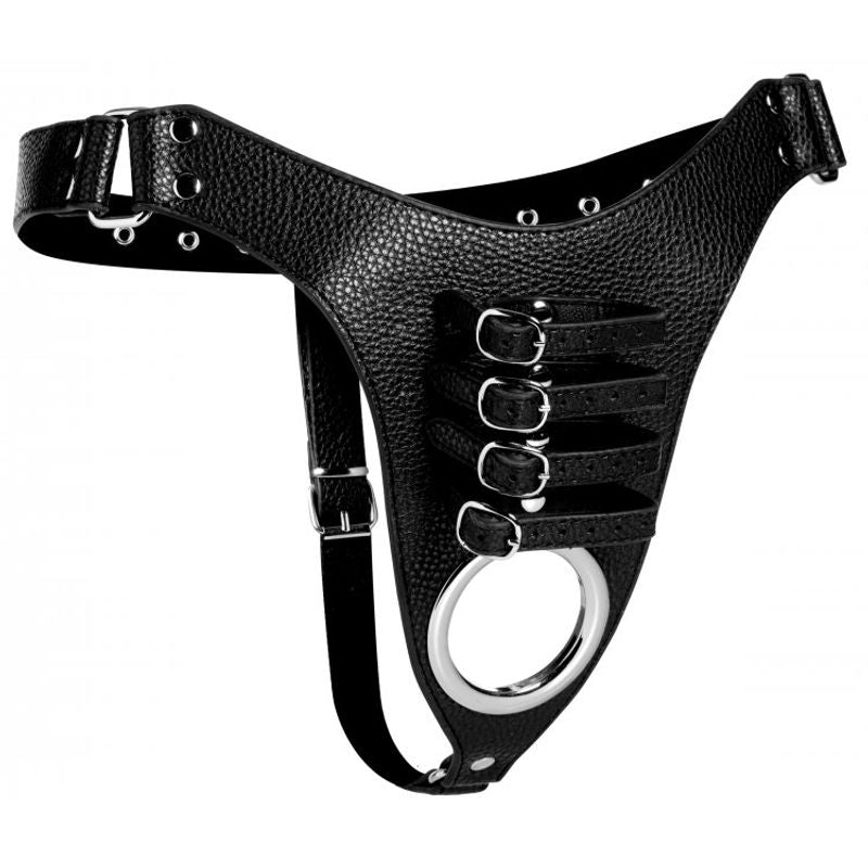 Male Chastity Harness