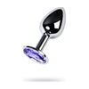 Silver Metal Anal Plug w Amethyst Crystal Small