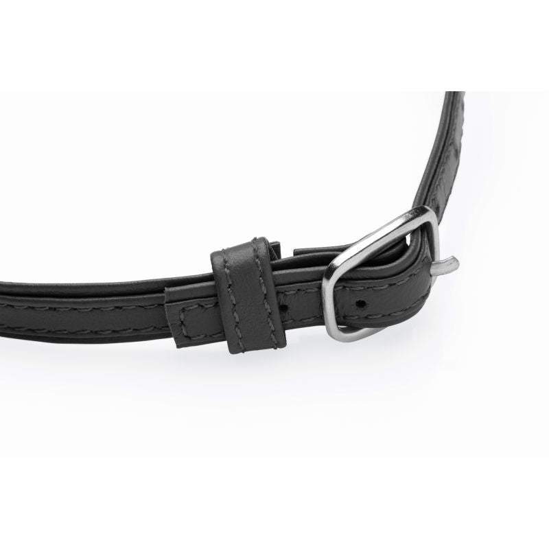 Sex Pet Leather Choker w Silver Ring Black