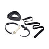 Puppy Play Set incl Gag, Plug and Collar Black