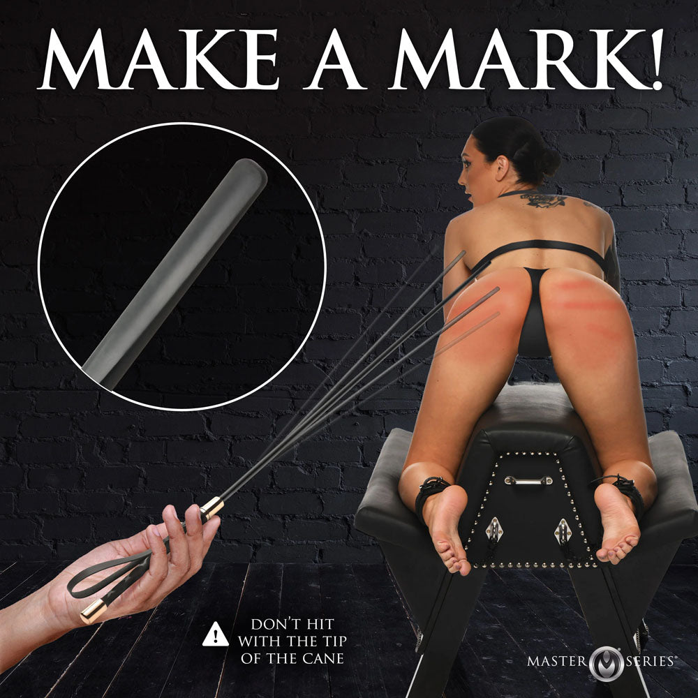 Master Series Sinful Impact Cane - Black Plastic Cane Whip