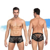 Ashella Lingerie Mica Lace Boxer Brief Black S/M