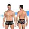 Ashella Lingerie Mica Lace Boxer Brief Black L/XL