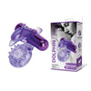 Bodywand Rechargeable Dolphin Ring with Clit Ticklers - Purple USB Rechargeable Vibrating Cock Ring-BW1501