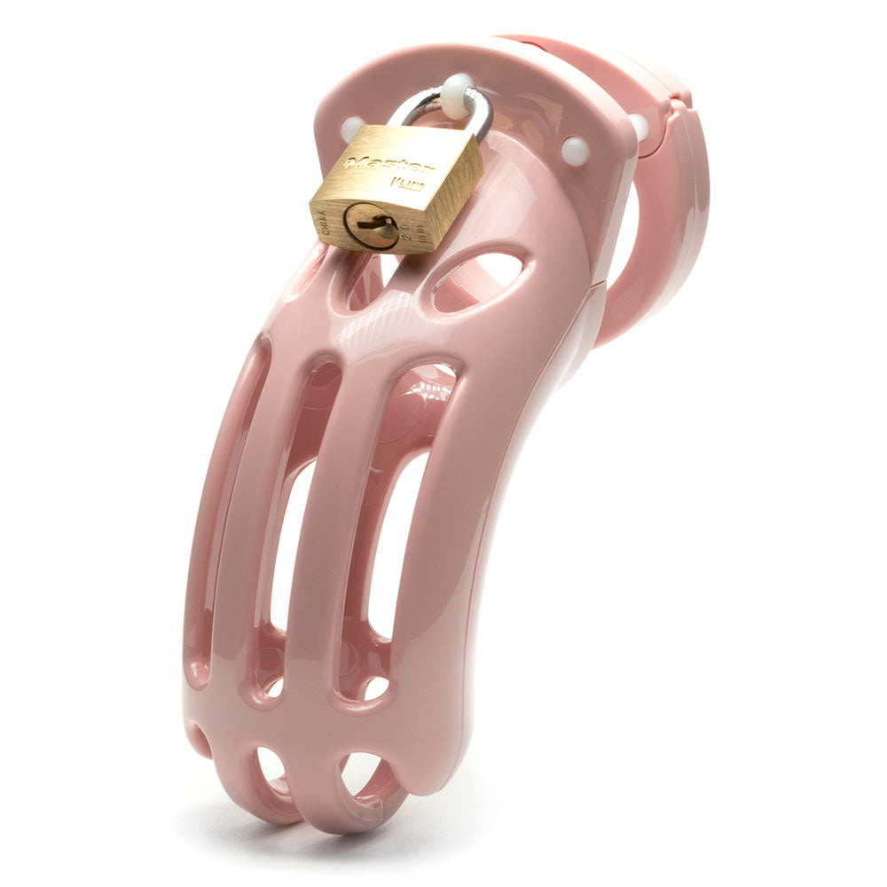 The Curve Chastity Cock Cage Kit - Pink - Pink 3.75 Inch Cock Cage Kit-CRV-PNK