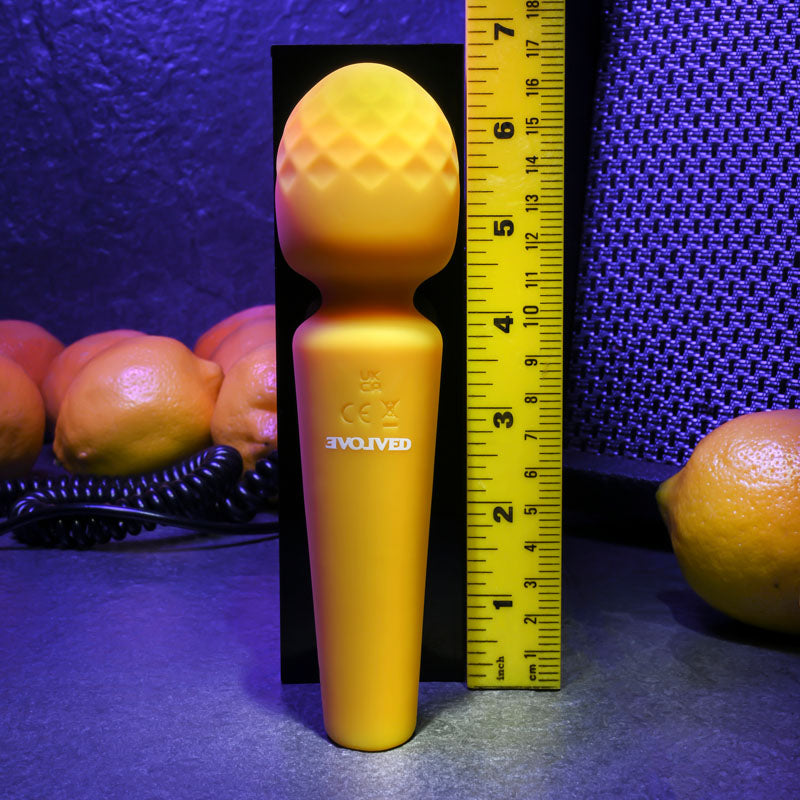 Evolved SUNSHINE - Yellow 17 cm USB Rechargeable Massage Wand-EN-RS-1324-2