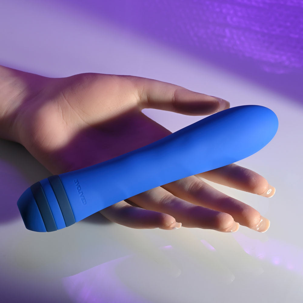 Evolved THE PLEASER - Blue 16.5 cm USB Rechargeable Vibrator-EN-RS-3649-2