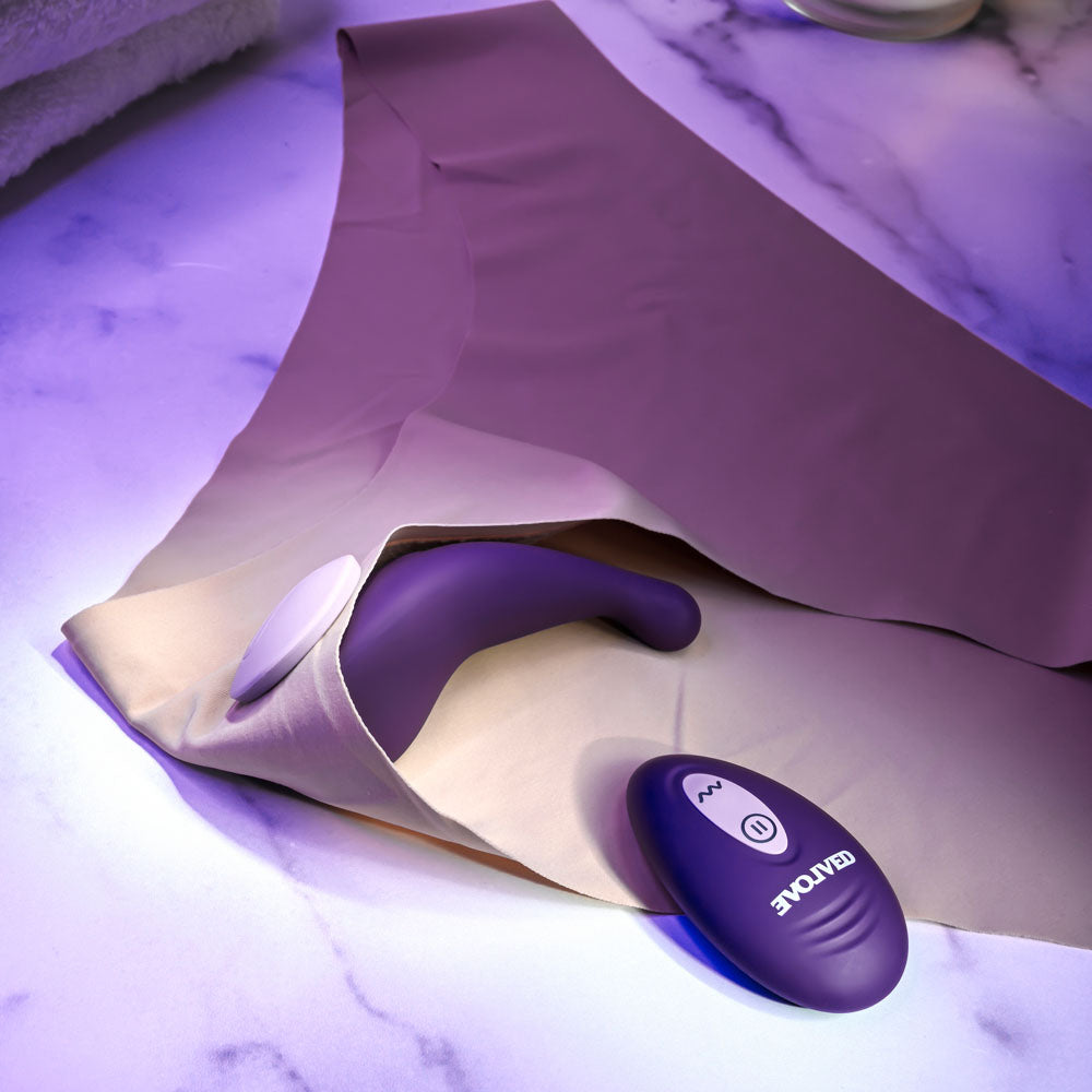 Evolved PANTY PARTY - Purple USB Rechargeable Panty Vibrator with Remote Control-EN-RS-4073-2