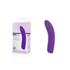 Cozy Pointer - Purple - Purple 12.7 USB Rechargeable Mini Vibrator-FPBQ010A00-022