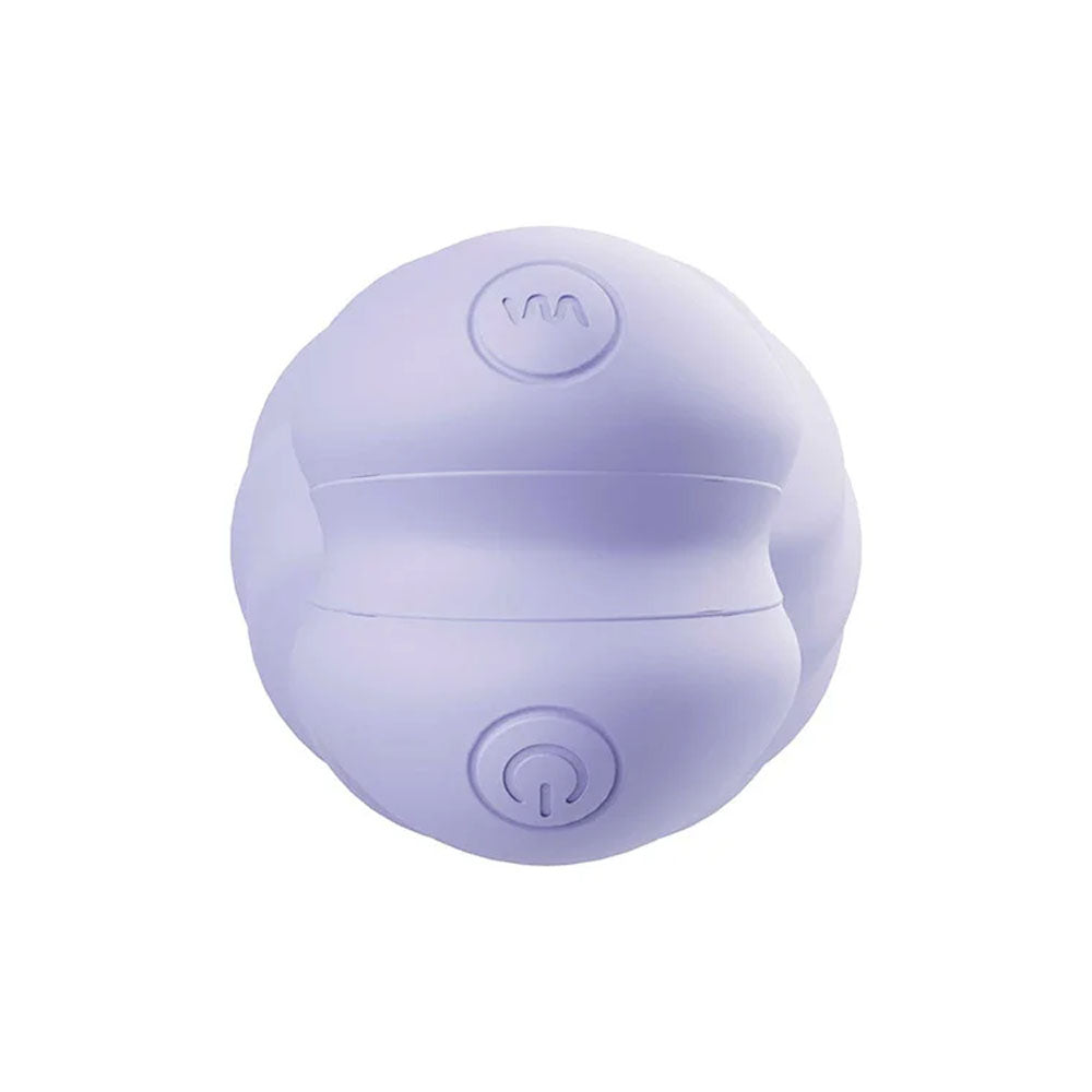 Adam & Eve SPIRAL LOVE Wearable Egg - Purple USB Rechargeable Wearable Vibrating Egg with Wireless Remote - L075 6900