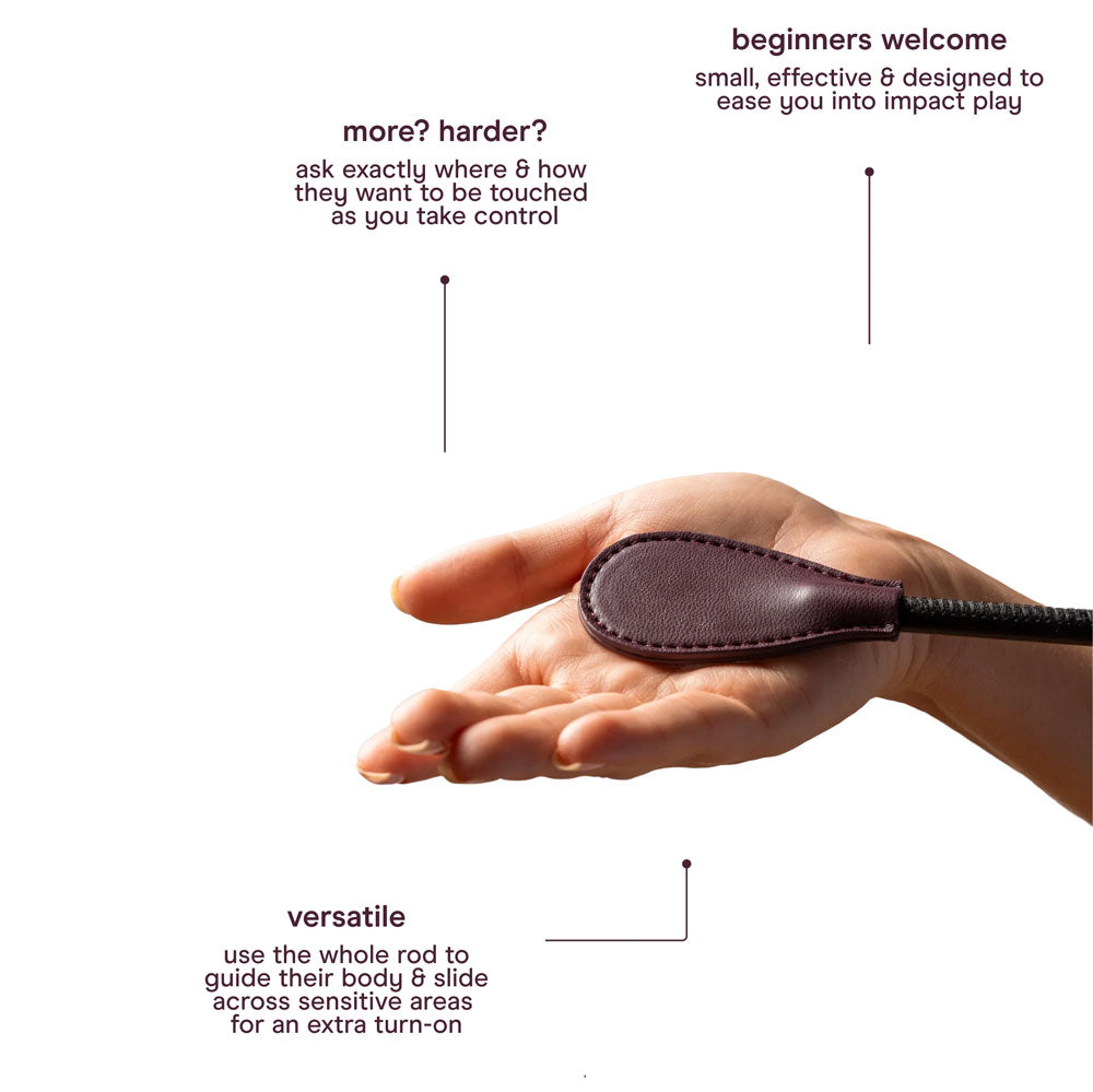 Spicy Sex Kit: Beginners Guide to Sensual Play