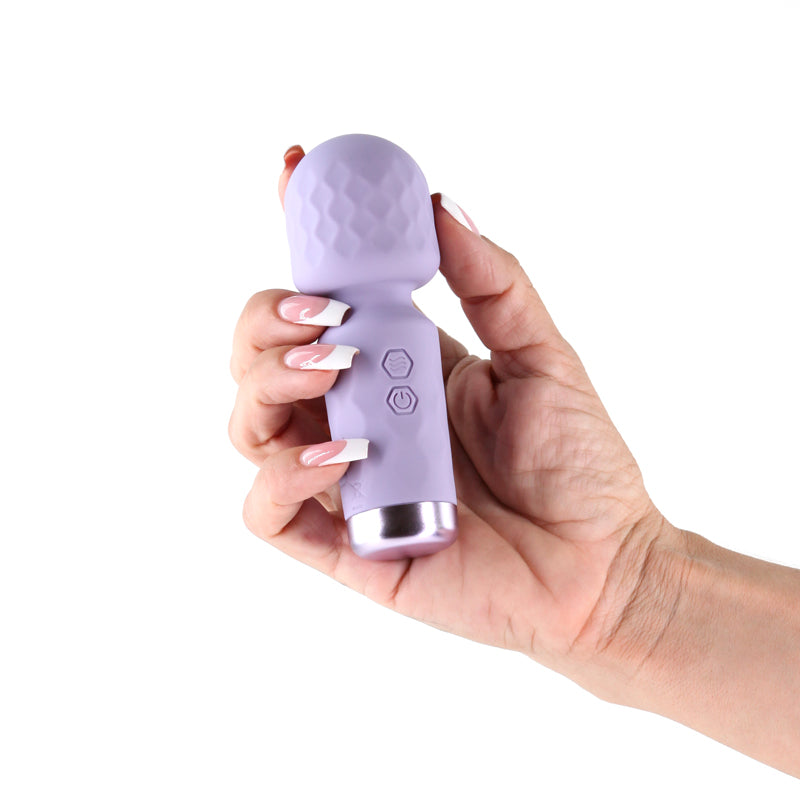Lust-n-Dreams - Salsa - Lavender - Lavender 11.5 cm USB Rechargeable Mini Massage Wand-NSN-0245-15