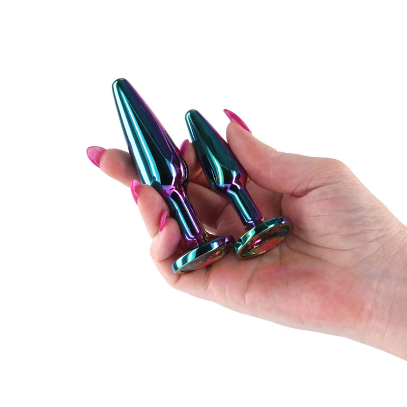 Rear Assets Tapered Trainer Kit - Multicolour - Multicoloured Metal Butt Plugs - Set of 2 Sizes-NSN-0969-09