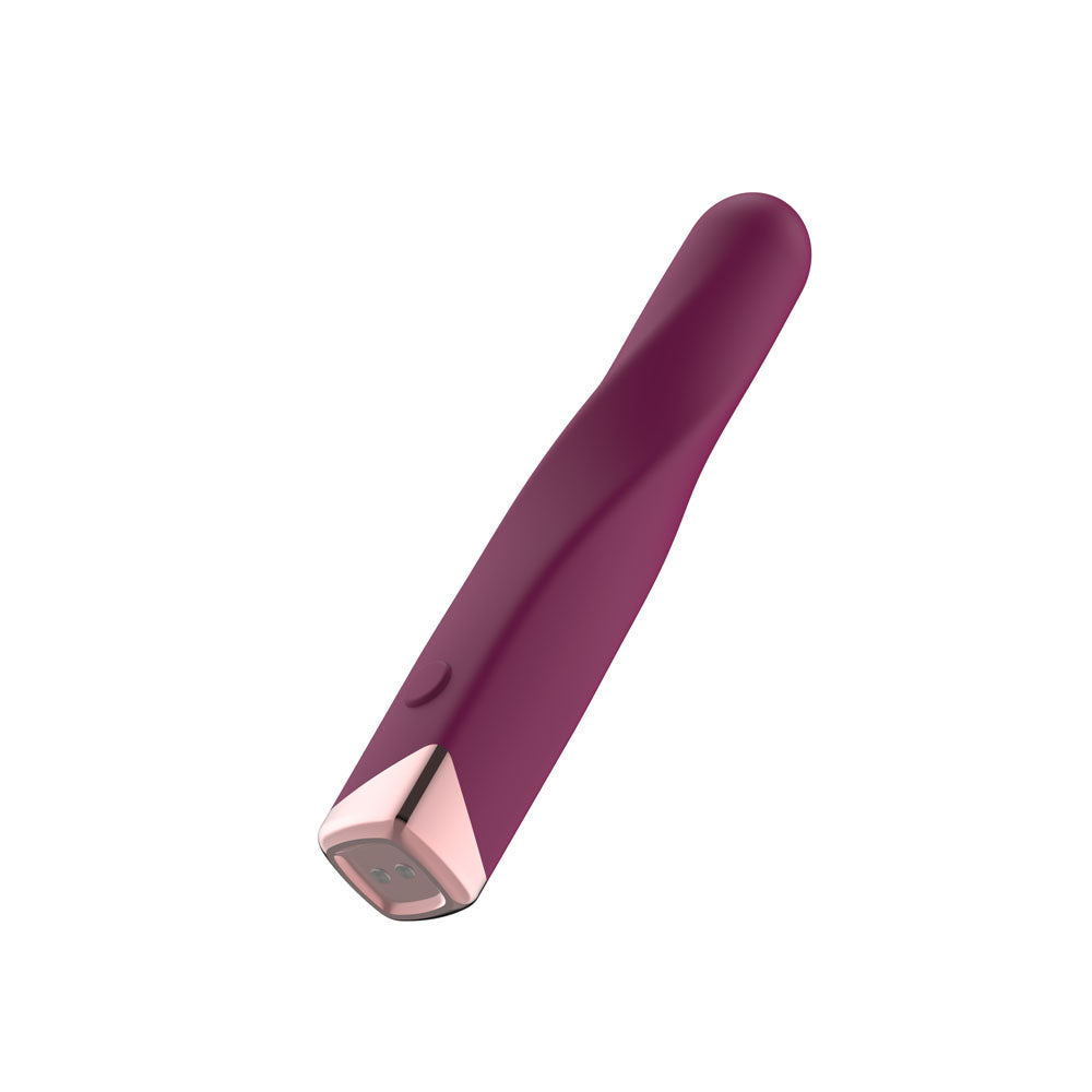 Passion Play Rechargeable Vibrating Bullet - Purple - Purple 12 cm USB Rechargeable Vibrating B