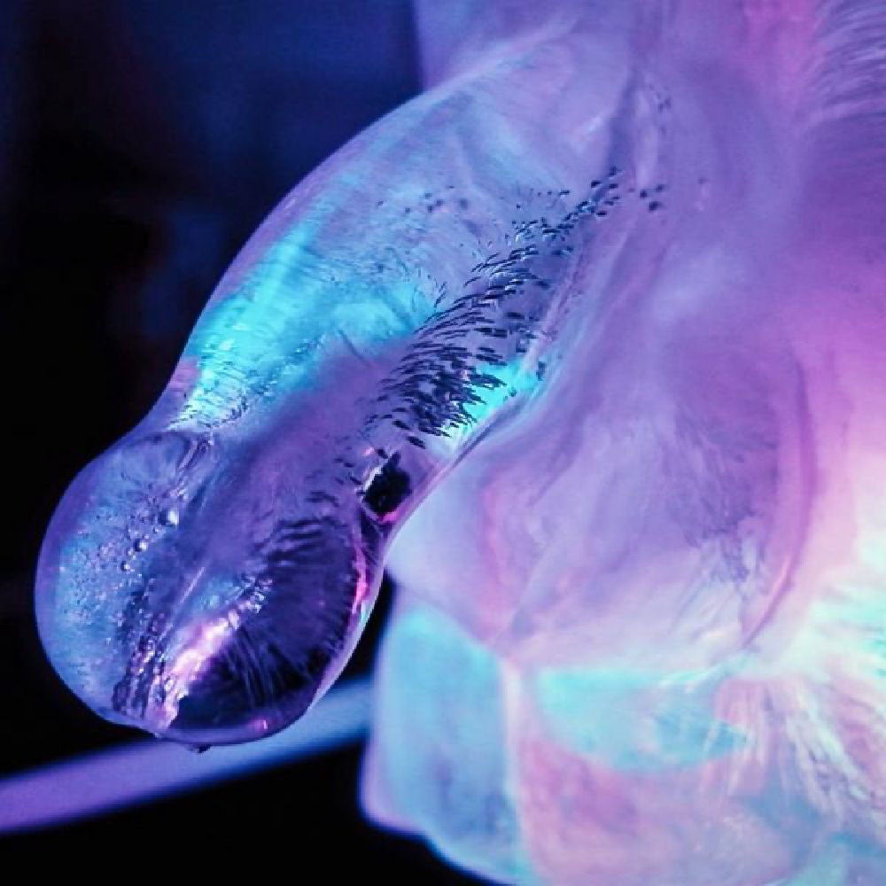 Huge Penis Ice Luge - Party Novelty-PWMPIL1-PP