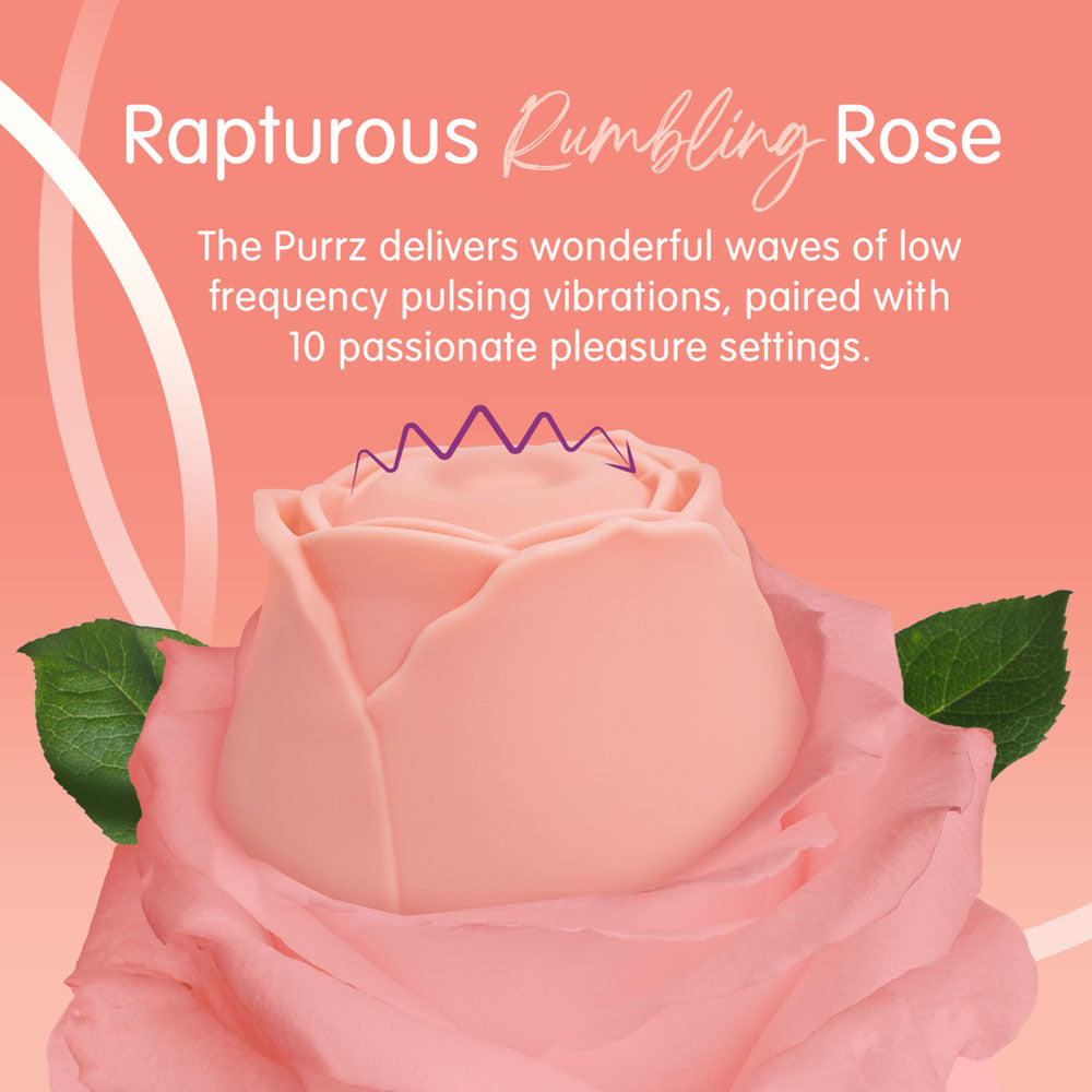 Skins Rose Buddies - The Rose Purrz - Light Pink USB Rechargeable Pulsing Rose Stimulator-SKRBRP