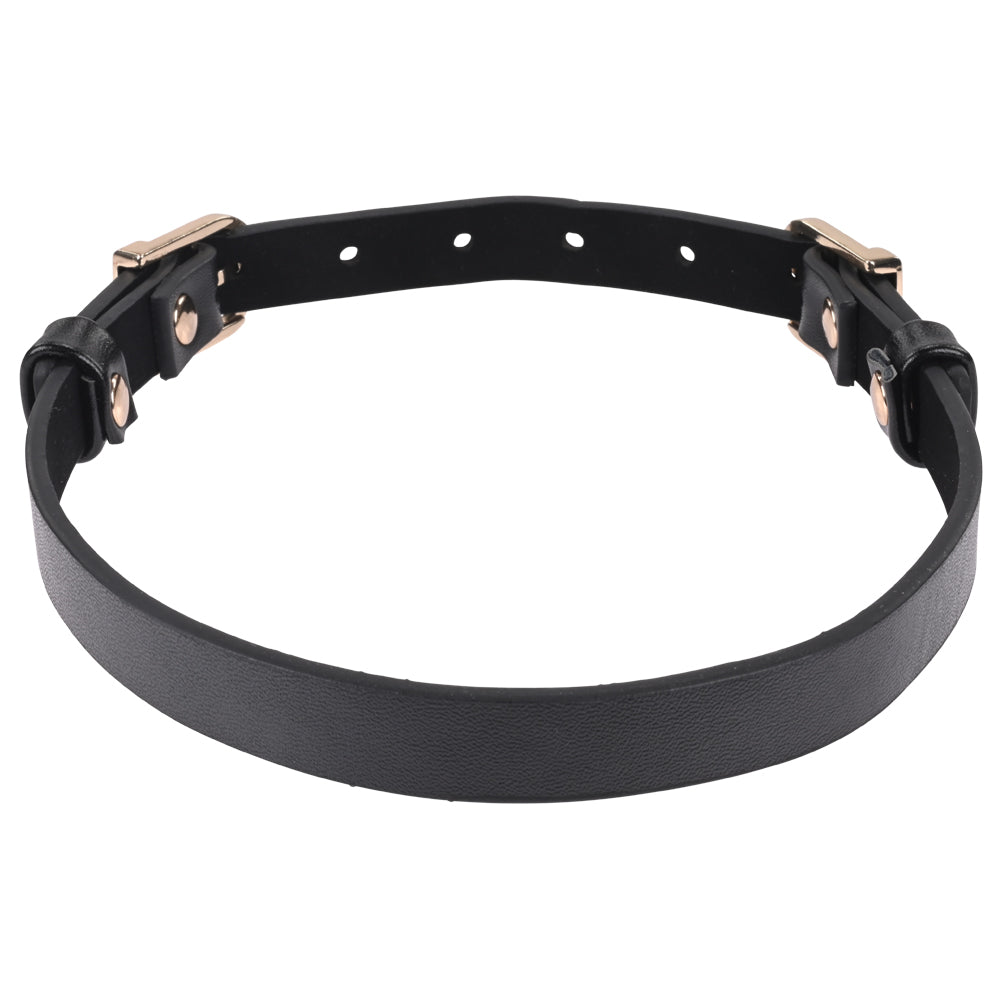 Sex & Mischief Double Buckle Day Collar - Black Collar-SS09854