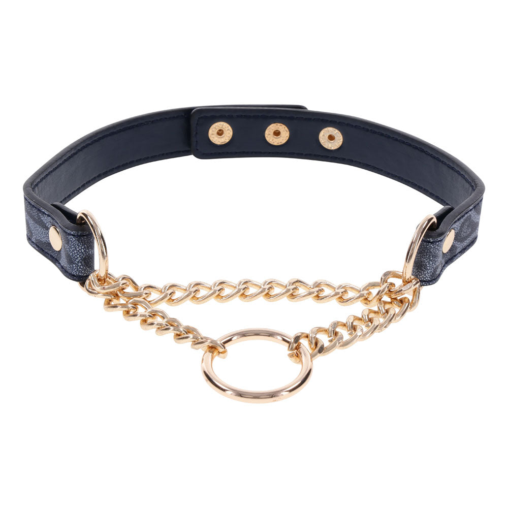 Sex & Mischief Cougar Day Collar - Navy Blue/Gold Collar-SS09974