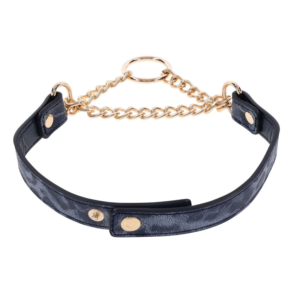 Sex & Mischief Cougar Day Collar - Navy Blue/Gold Collar-SS09974