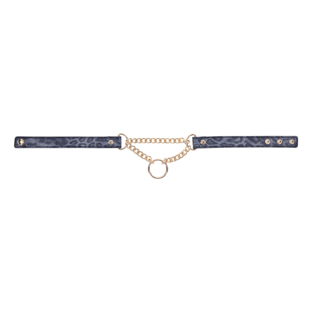 Sex & Mischief Cougar Day Collar - Navy Blue/Gold Collar-SS09974