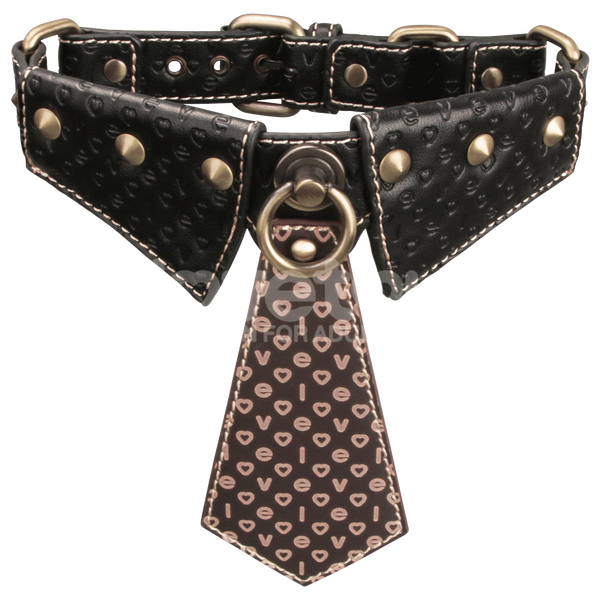 Collar & Leash-LV761205