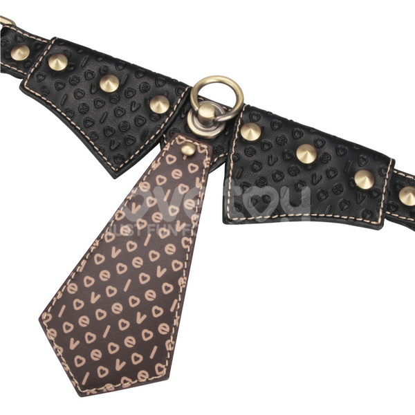 Collar & Leash-LV761205