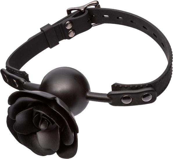 Removable Rose Gag (Black)