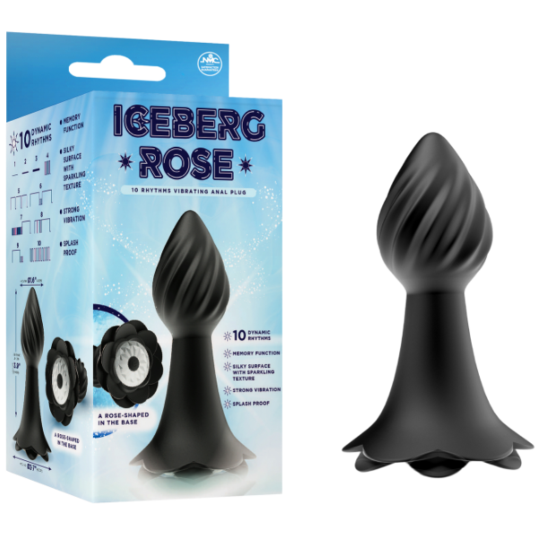 10 Rhythms Vibrating Anal Plug (Black)