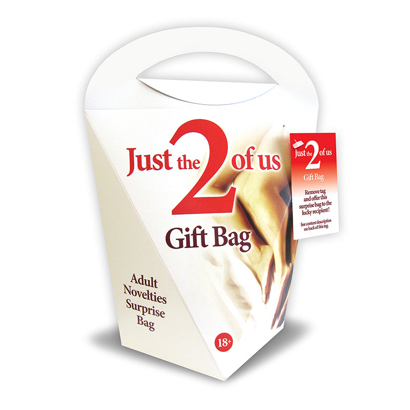Just The 2 Of Us Gift Bag - Adult Novelties Surprise Bag - 6 Piece Kit